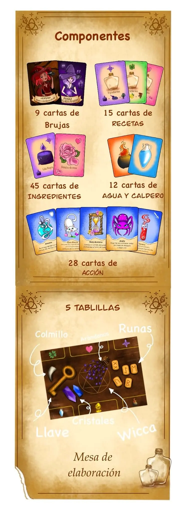 Componentes de la 2ª Edición